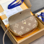 Louis Vuitton Wallet On Chain Ivy M82211 Gray